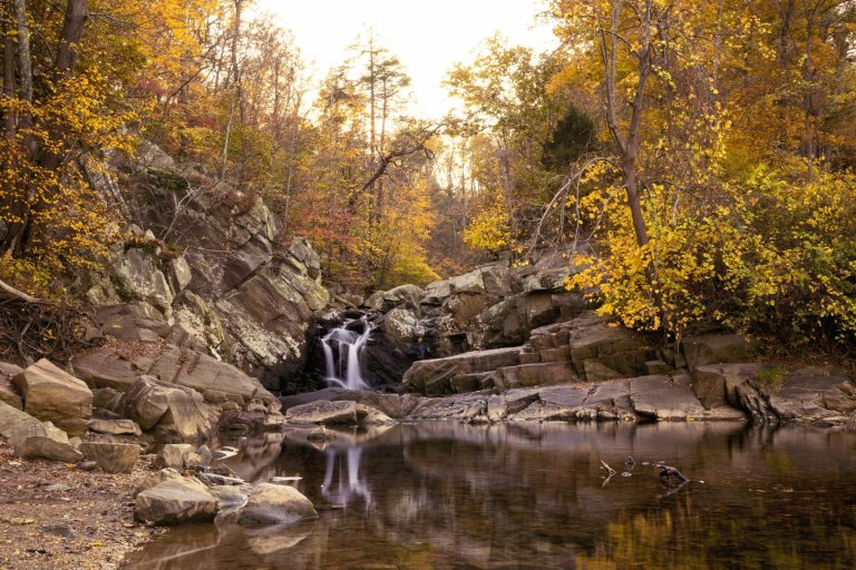 Serene autumn waterfall flowing over rocky terrain surrounded by golden foliage and trees